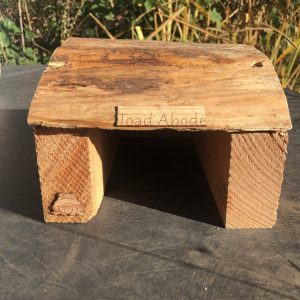 Toad Abode