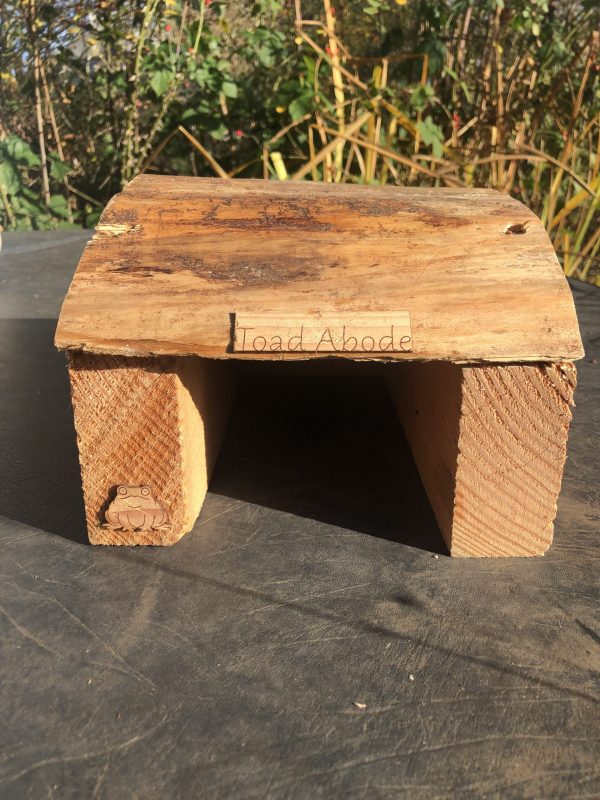 Toad Abode