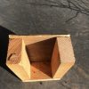Toad Abode looking in