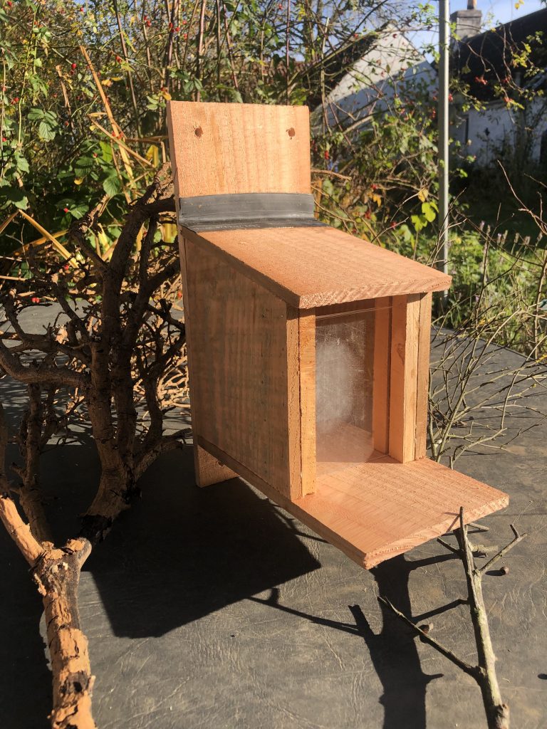Eco Squirrel Feeder