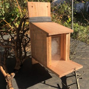 Eco Squirrel Feeder