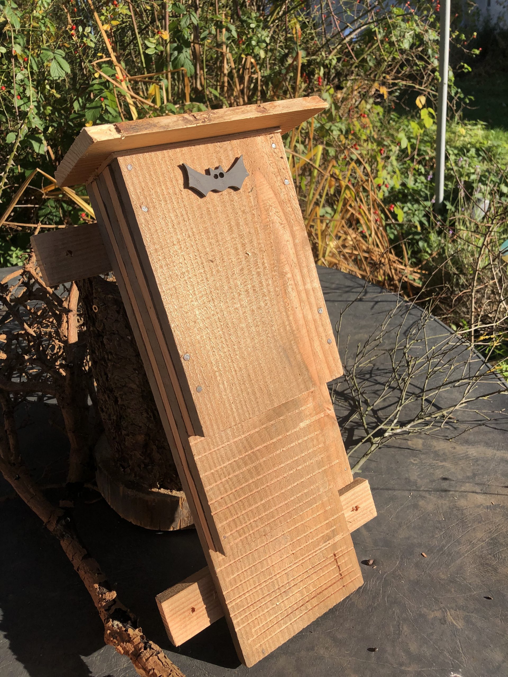 Bat Box 1