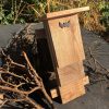 Bat box leaning