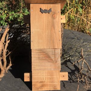 Bat Box 1 front