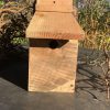 Blue Tit Box 1 side