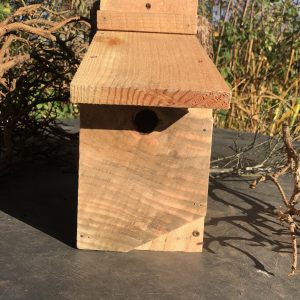 Blue Tit Box 1 side