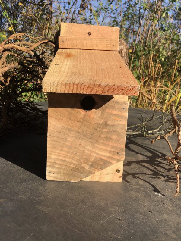 Blue Tit Box 1 side
