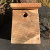 Blue Tit Box 1