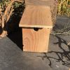 Blue Tit nest box 2 from top