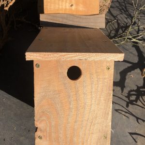 Blue Tit Nest Box 2nd box