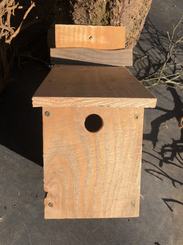 Blue Tit Nest Box 2nd box