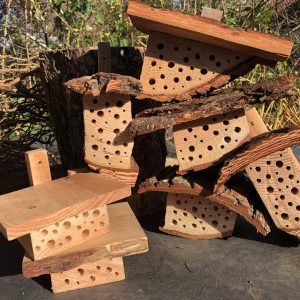 Lots of Bee Motels