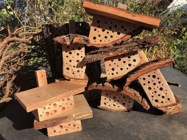 Lots of Bee Motels