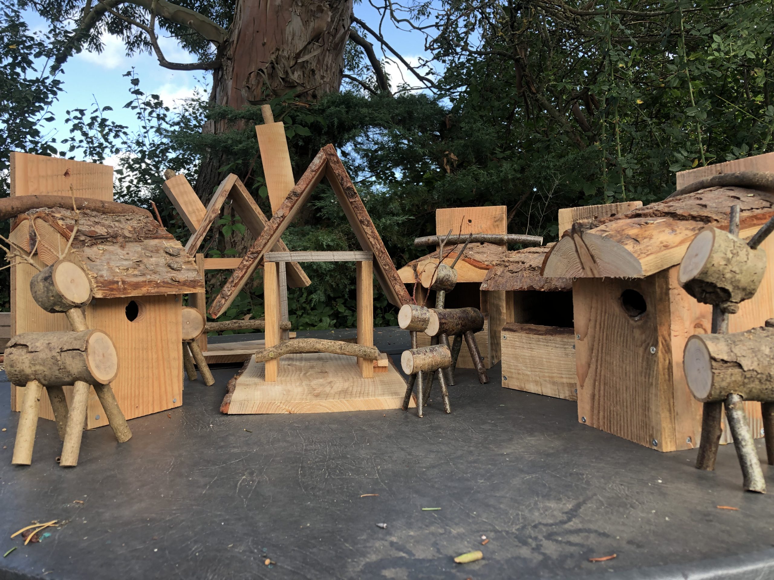 Bird boxes and feeders