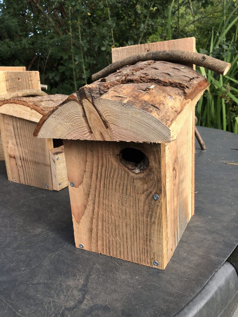 Bird box 