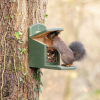 Eco Rustic Squirrel Feeder - Image 7