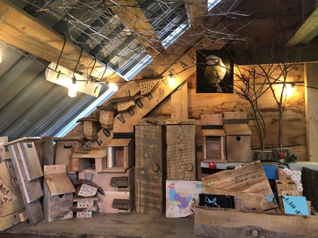 Workshop